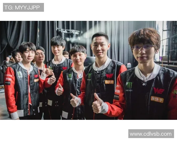 深入探讨WE战队在比赛中的战术表现与数据分析解读